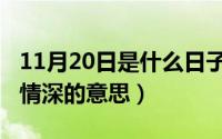 11月20日是什么日子（11月16日奈何流年枉情深的意思）