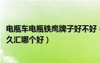 电瓶车电瓶铁鹰牌子好不好（10月08日电动三轮电瓶铁鹰和久汇哪个好）