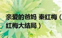 亲爱的爸妈 秦红梅（11月15日亲爱的爸妈秦红梅大结局）