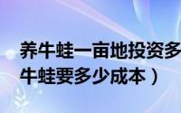 养牛蛙一亩地投资多少钱（11月15日养十亩牛蛙要多少成本）