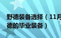 野德装备选择（11月16日请教WOW国服野德的毕业装备）