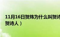 11月16日贺炜为什么叫贺诗人呢（11月16日贺炜为什么叫贺诗人）