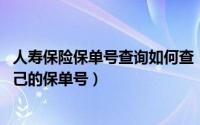 人寿保险保单号查询如何查（11月16日人寿保险怎样查询自己的保单号）