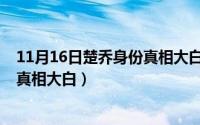 11月16日楚乔身份真相大白是哪一集（11月16日楚乔身份真相大白）