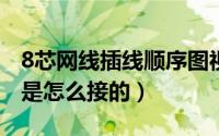 8芯网线插线顺序图视频（11月16日8芯网线是怎么接的）