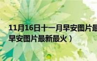 11月16日十一月早安图片最新最火视频（11月16日十一月早安图片最新最火）