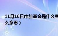 11月16日中加基金是什么意思呀（11月16日中加基金是什么意思）