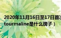 2020年11月16日至17日首次提出了什么的思想（11月17日tourmaline是什么牌子）