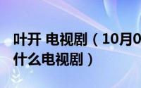 叶开 电视剧（10月08日电视剧里有叶开的是什么电视剧）