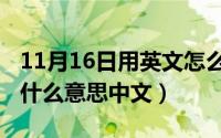 11月16日用英文怎么表示（11月16日bag是什么意思中文）