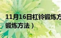 11月16日杠铃锻炼方法图片（11月16日杠铃锻炼方法）