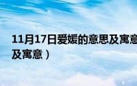 11月17日爱媛的意思及寓意是什么（11月17日爱媛的意思及寓意）