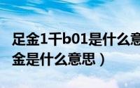 足金1千b01是什么意思（11月17日bhd千足金是什么意思）