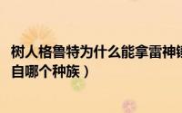 树人格鲁特为什么能拿雷神锤（10月08日漫威树人格鲁特来自哪个种族）