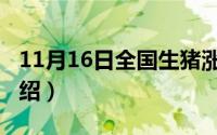 11月16日全国生猪涨跌表（11月16日母猪介绍）