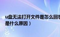 u盘无法打开文件是怎么回事（11月16日U盘文件打不开了是什么原因）