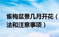 雀梅盆景几月开花（10月08日雀梅的养殖方法和注意事项）