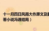 十一月四日风雨大作原文及翻译赏析（11月17日风吹半夏原著小说冯遇结局）