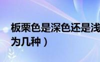 板栗色是深色还是浅色（10月08日板栗色分为几种）