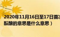 2020年11月16日至17日首次提出了什么的思想（11月17日酝酿的意思是什么意思）