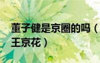 董子健是京圈的吗（11月17日董子健的家世王京花）