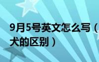 9月5号英文怎么写（10月08日赛级犬和普通犬的区别）