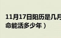 11月17日阳历是几月几号（11月17日猫的寿命能活多少年）