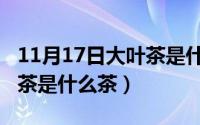 11月17日大叶茶是什么茶类（11月17日大叶茶是什么茶）