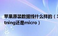 苹果原装数据线什么样的（11月17日苹果原装数据线是lightning还是micro）