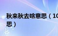 秋来秋去啥意思（10月08日秋去秋来什么意思）