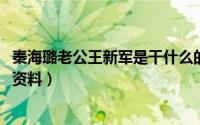 秦海璐老公王新军是干什么的（11月17日秦海璐老公王新军资料）