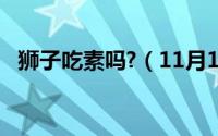 狮子吃素吗?（11月17日狮子吃素能活吗）