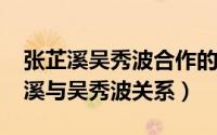 张芷溪吴秀波合作的电视剧（11月17日张芷溪与吴秀波关系）