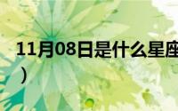 11月08日是什么星座（10月08日六两金演员）