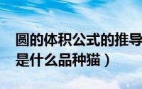 圆的体积公式的推导过程（11月17日拉拉猫是什么品种猫）