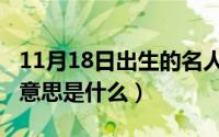 11月18日出生的名人（11月18日名副其实的意思是什么）