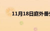 11月18日庭外番外篇结局什么意思