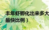 丰年虾孵化出来多大（11月18日丰年虾孵化最快比例）