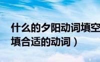 什么的夕阳动词填空（11月18日什么的夕阳填合适的动词）