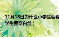 11月18日为什么小学生要穿白丝内裤（11月18日为什么小学生要穿白丝）