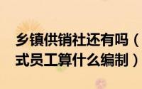 乡镇供销社还有吗（10月08日乡镇供销社正式员工算什么编制）