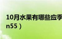 10月水果有哪些应季（10月08日哪些车搭载n55）