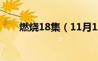 燃烧18集（11月18日燃烧小说原著）