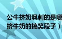 公牛挤奶讽刺的是哪一种人（11月18日公牛挤牛奶的搞笑段子）