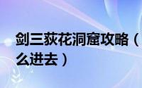 剑三荻花洞窟攻略（11月18日剑三荻花宫怎么进去）