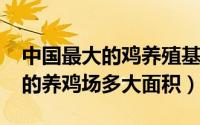 中国最大的鸡养殖基地（11月18日中国最大的养鸡场多大面积）