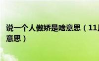 说一个人傲娇是啥意思（11月18日形容一个女生很傲娇什么意思）