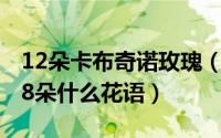 12朵卡布奇诺玫瑰（11月18日卡布奇诺玫瑰8朵什么花语）