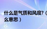 什么是气质和风度?（11月18日气质风范是什么意思）