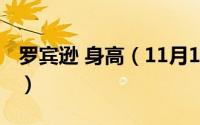 罗宾逊 身高（11月18日罗宾逊厄尔身高臂展）